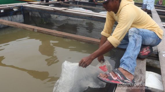 POKDAKAN Kampung Tanjung Jone dan Kampung Pulau Lanting Terima Bantuan Perikanan Budidaya Pada Program FCPF