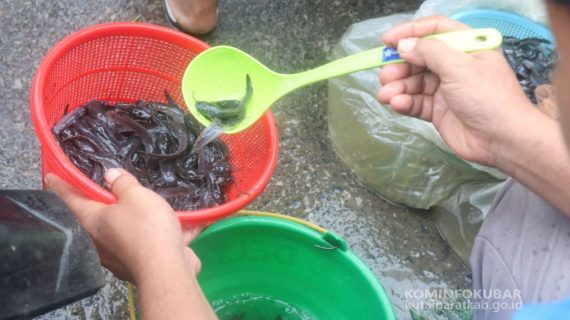 Terima Bantuan Perikanan Budidaya, POKDAKAN Dari Kampung Pulau Lanting Ucapkan Terima Kasih